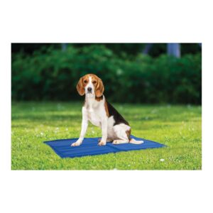 Tapis réfrigérant pour chien