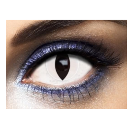Lentilles Halloween – Image 4