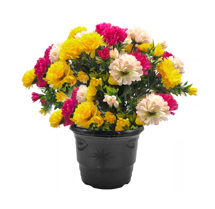 Composition de chrysanthème x36 en pot